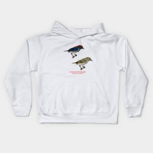 Scarlet-backed Flowerpecker | Dicaeum cruentatum ⚥ Kids Hoodie